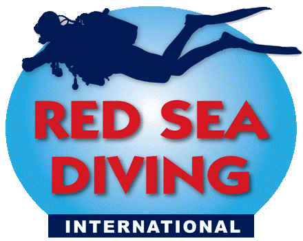 Besuchen Sie unsere andere Website für Red Sea Divers International