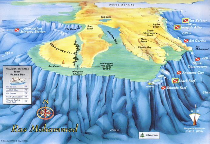 Nationalpark Ras Mohamed Tauchen Sitemap - Red Sea Divers International in Sharm el Sheikh gypten